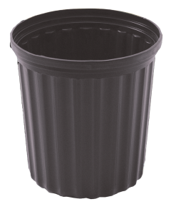 Maceta #6 - Tipo Exportación